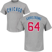 Men's Chicago Cubs Shawn Armstrong ＃64 Roster Name & Number T-Shirt - Gray