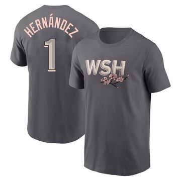 Men's Washington Nationals Cesar Hernandez ＃1 2022 City Connect Name & Number T-Shirt - Gray