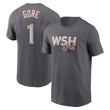 Men's Washington Nationals MacKenzie Gore ＃1 2022 City Connect Name & Number T-Shirt - Gray