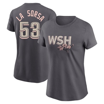 Women's Washington Nationals Joe La Sorsa ＃53 2022 City Connect Name & Number T-Shirt - Gray