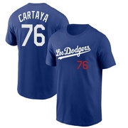 Youth Los Angeles Dodgers Diego Cartaya ＃76 2022 City Connect Name & Number T-Shirt - Royal