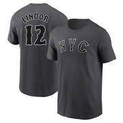 Youth New York Mets Francisco Lindor ＃12 Graphite 2024 City Connect Fuse Name & Number T-Shirt