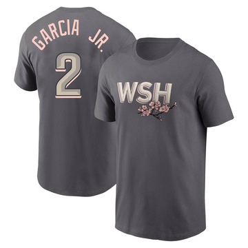 Youth Washington Nationals Luis Garcia Jr. ＃2 2022 City Connect Name & Number T-Shirt - Gray